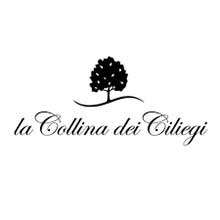 Logo-La Collina dei Ciliegi