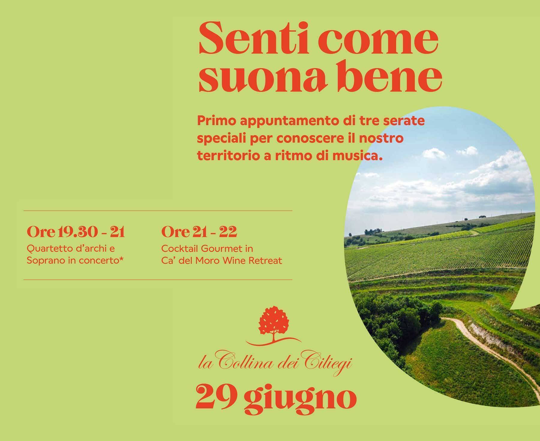 Senti come suona bene concerto in cantina in Valpantena