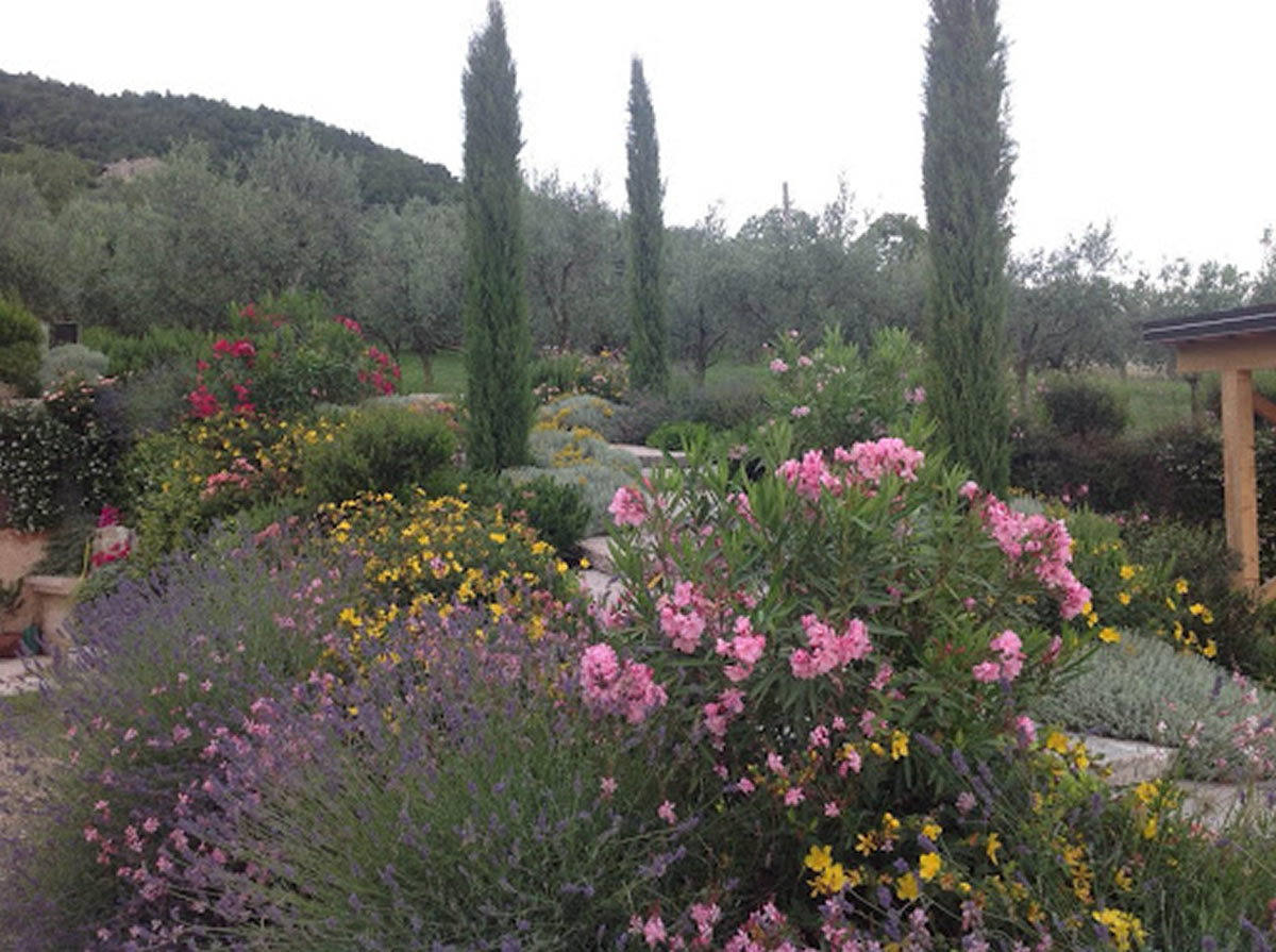 Bellamoli Giardini