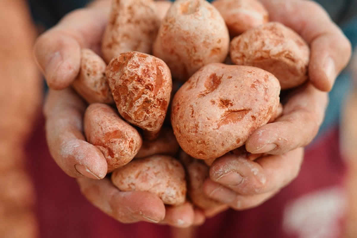  Il Rosso Ammonitico Veronese