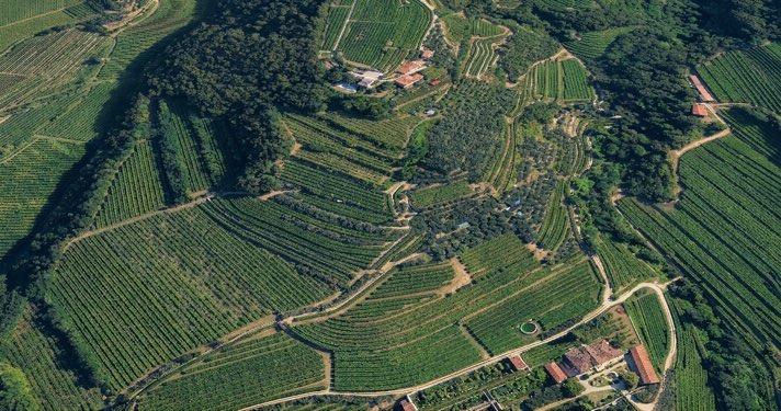 Cinque nuove realtà entrano nella Rete Valpantena