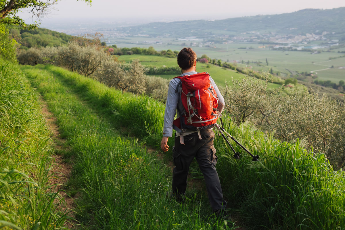 Chi è l'enoturista che visita la valle?