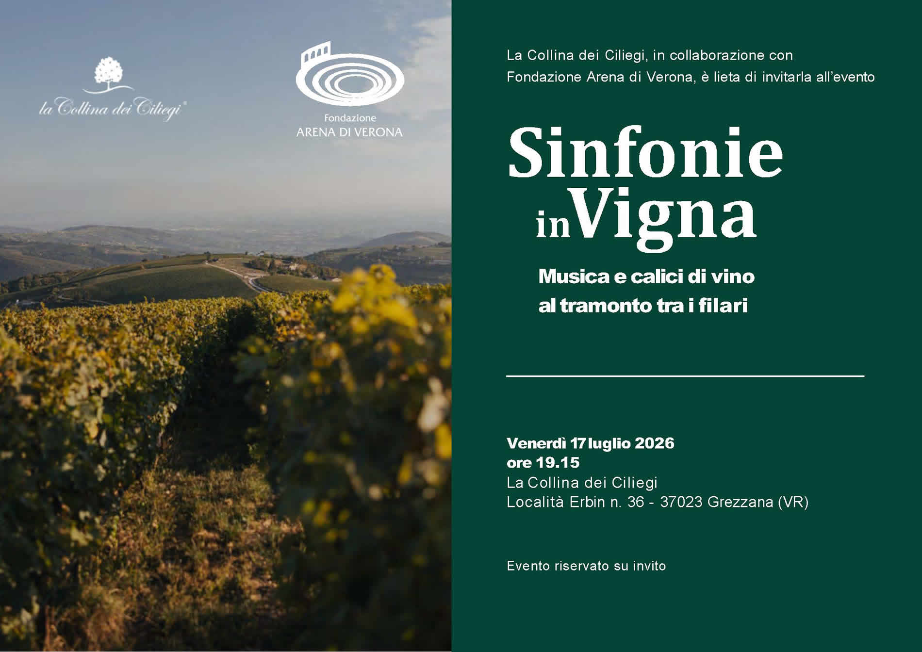 La Collina dei Ciliegi - Sinfonie in Vigna