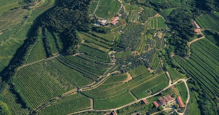 Cinque nuove realtà entrano nella Rete Valpantena
