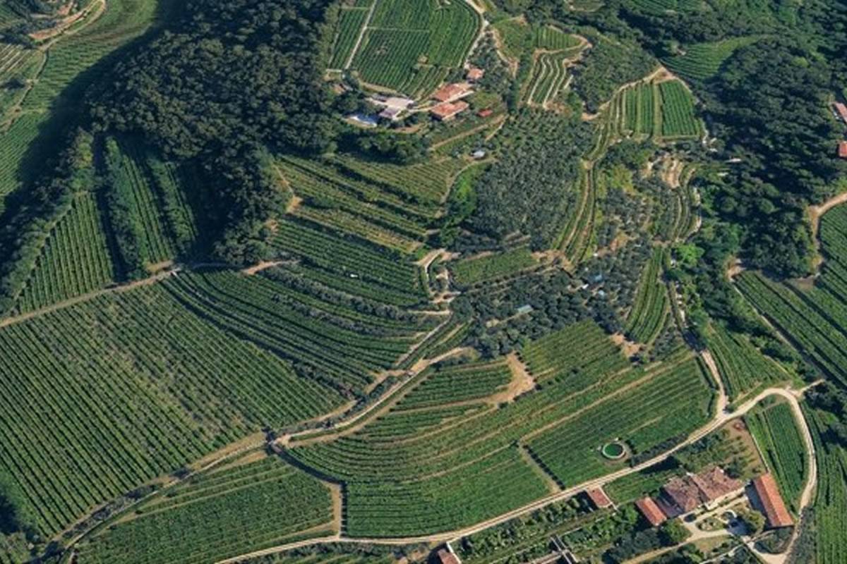 Cinque nuove realtà entrano nella Rete Valpantena