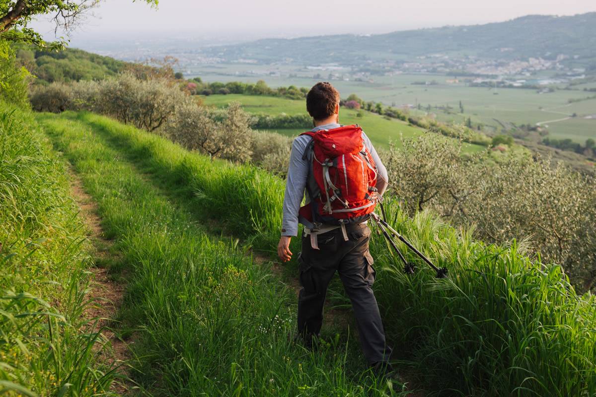 Chi è l'enoturista che visita la valle? Chi è l'enoturista che visita la valle?