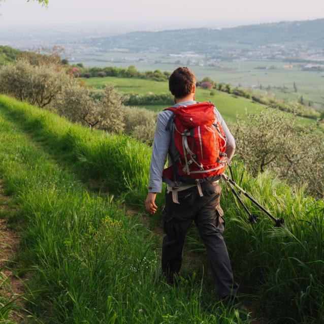Chi è l'enoturista che visita la valle?