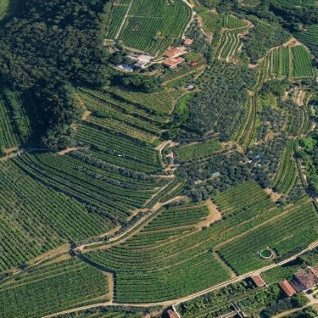 Cinque nuove realtà entrano nella Rete Valpantena