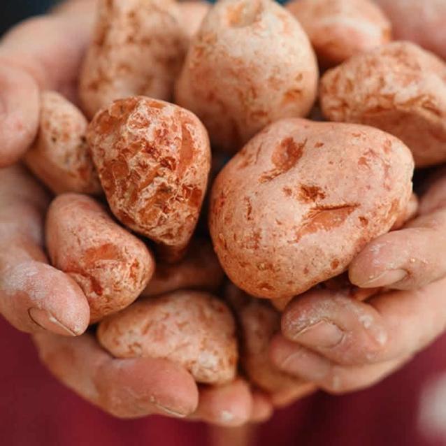  Il Rosso Ammonitico Veronese: la pietra del mare come asset identitario