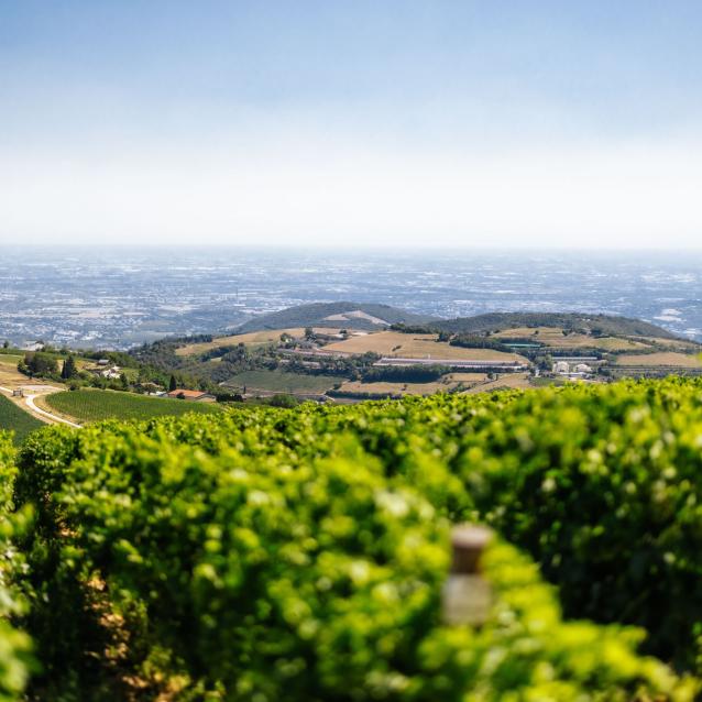 Dieci chilometri da Verona: la Valle degli Dei dentro al turismo veronese