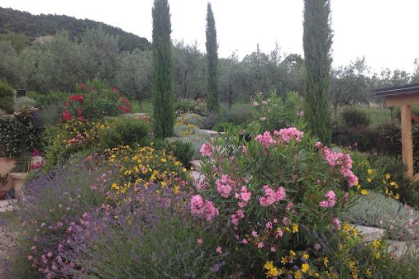 Bellamoli Giardini
