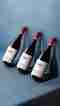 Annate Amarone Classico Bertani Valpantena Valpolicella