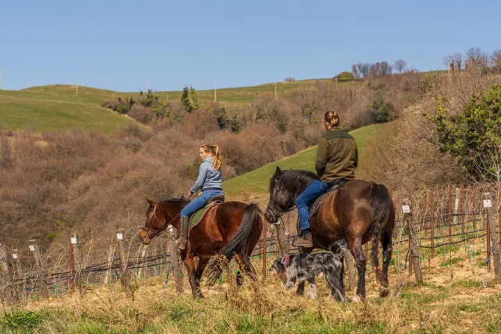 trekking a cavallo in Valpantena