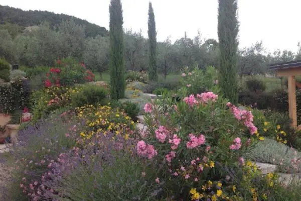Bellamoli Giardini