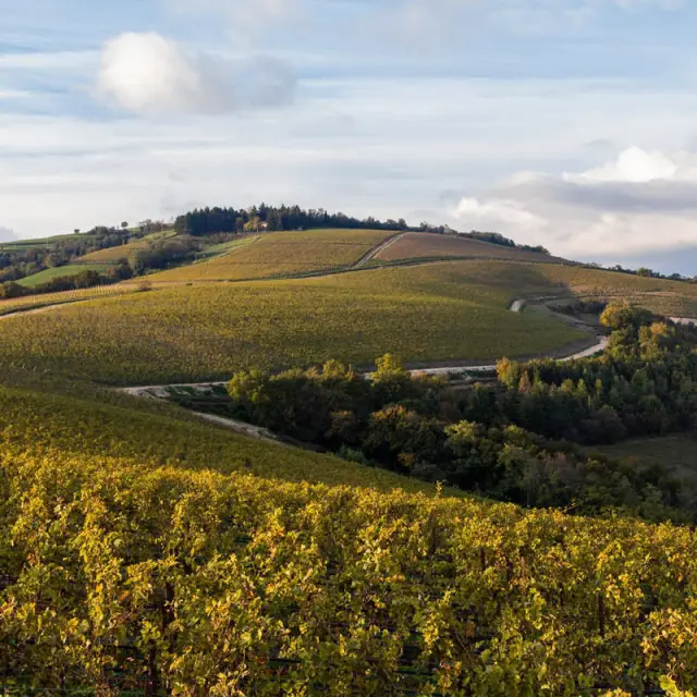 The Valpantena Network is designed to add value and promote the food and wine production