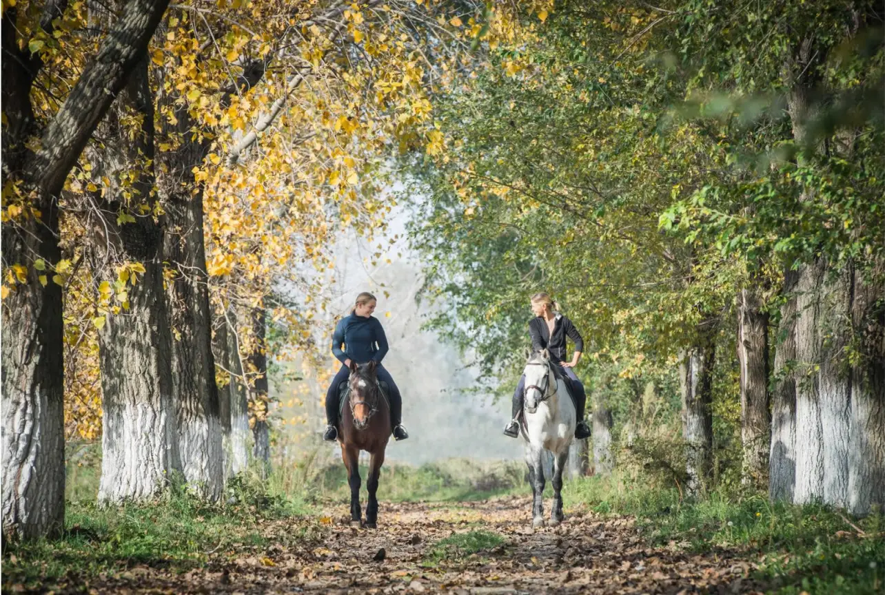 Fieracavalli Valpantena