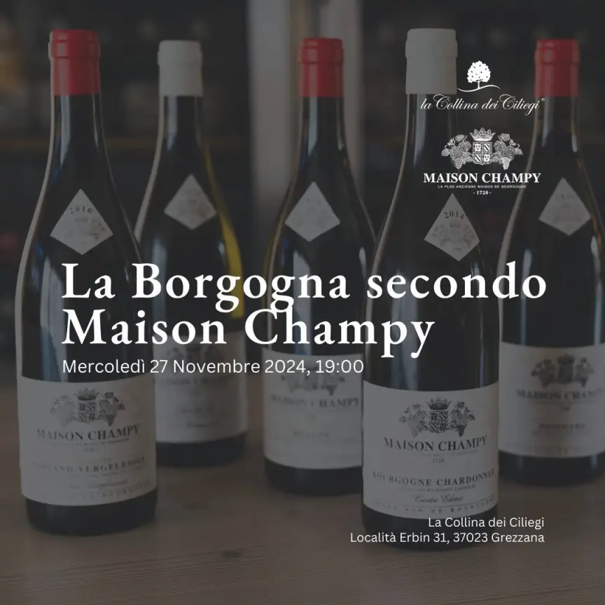  Burgundy according to Maison Champy 