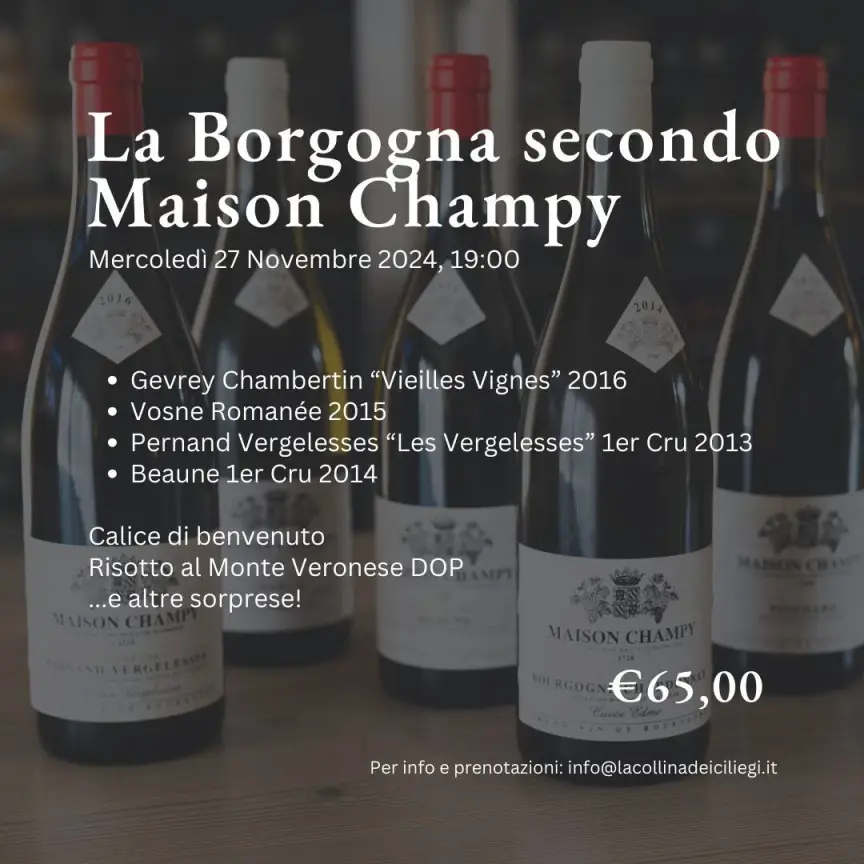 465379719 1229981021527837 934496396624614167 n