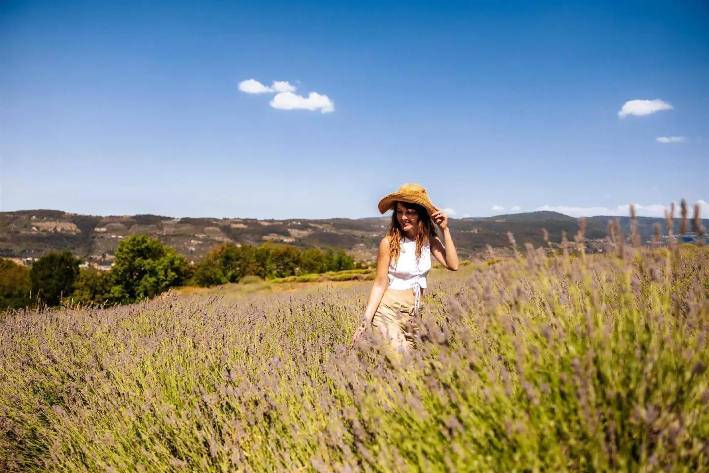 lavanda valpantena valpolicella
