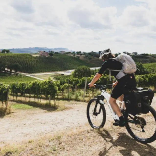 Bike&Wine with Andrea Guolo