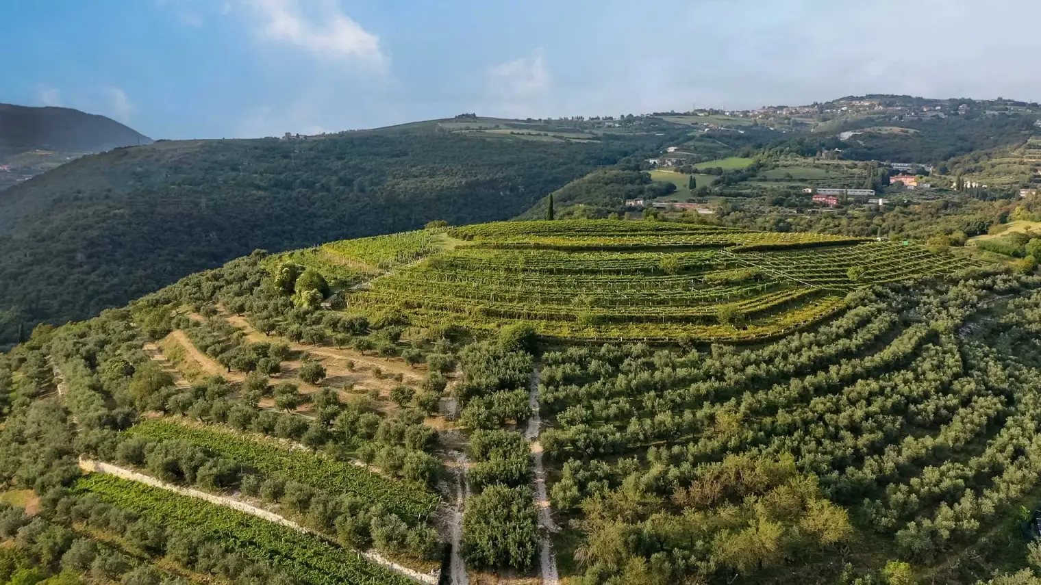 Bellalasta Valpantena Valpolicella