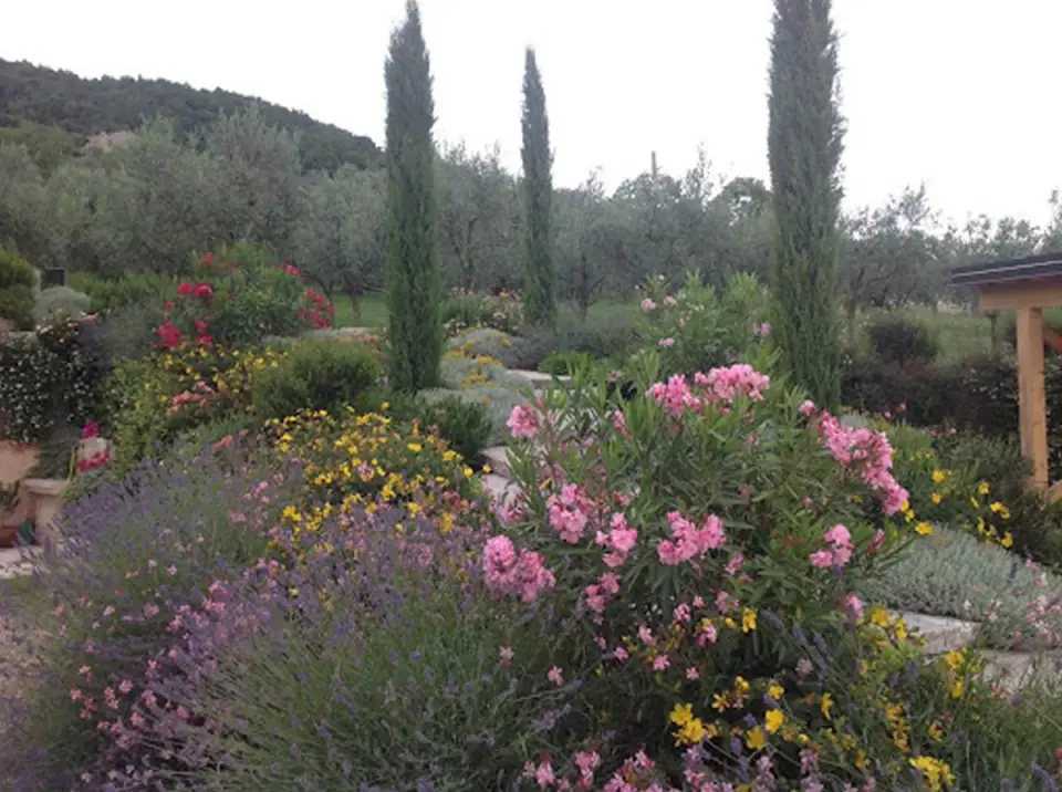 Bellamoli Giardini