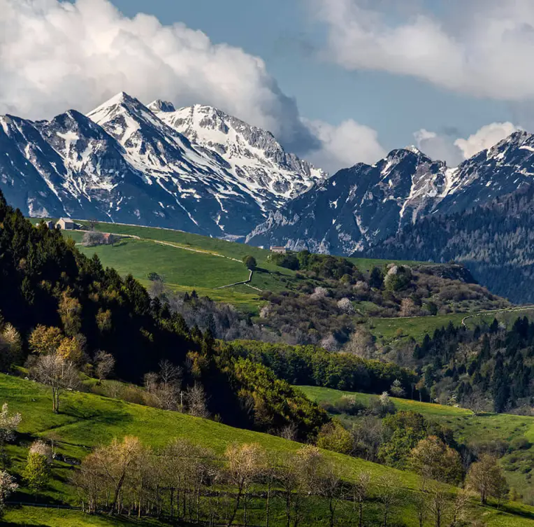Pecora Brogna Valpantena